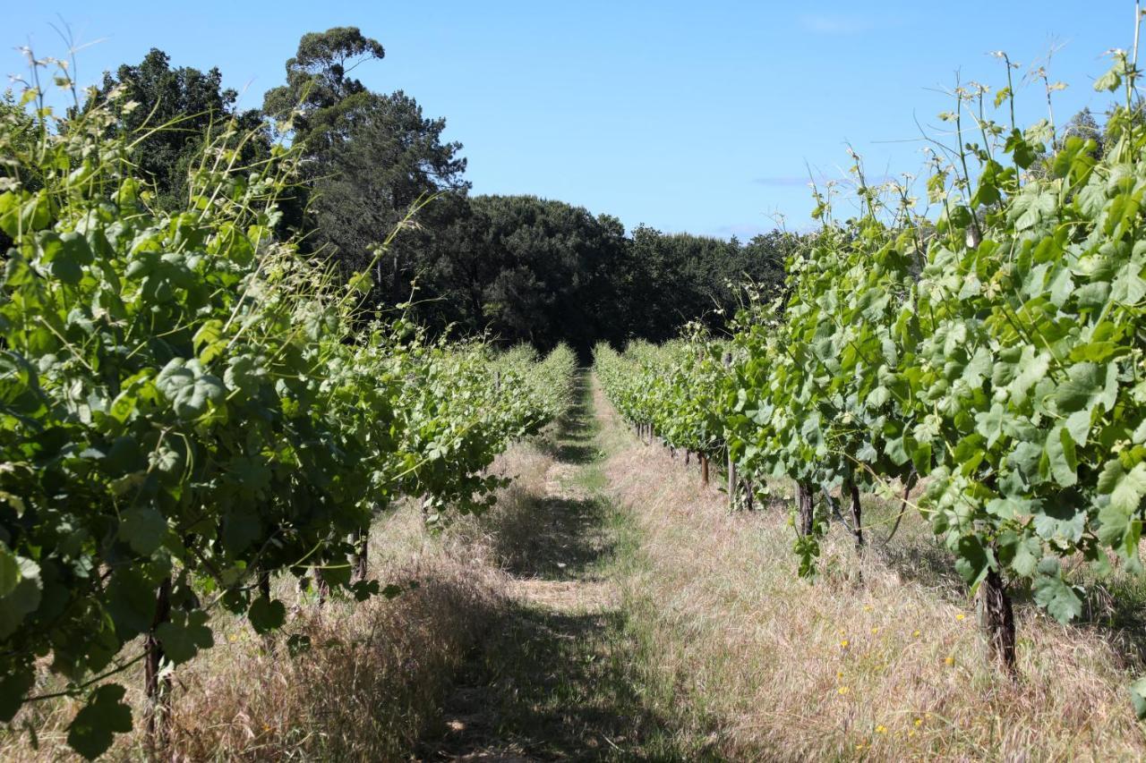 Quinta De Chousas - Braga - Agroturismo Εξωτερικό φωτογραφία