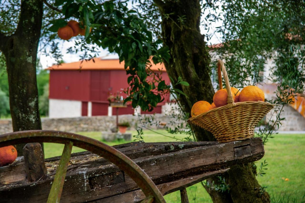 Quinta De Chousas - Braga - Agroturismo Εξωτερικό φωτογραφία
